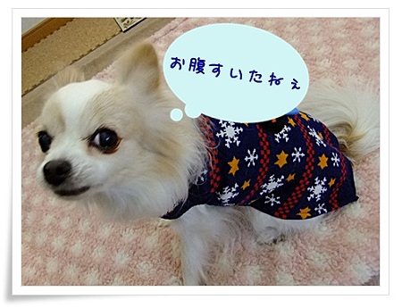 おなかすいた