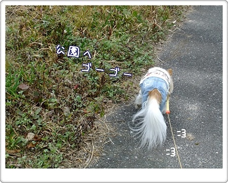 ゴーゴー