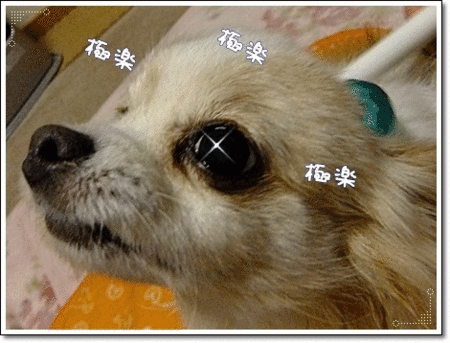 極楽