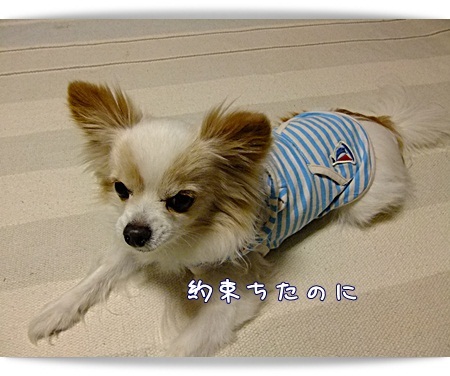 約束