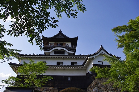 犬山城 (13)