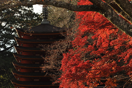談山神社の紅葉-9