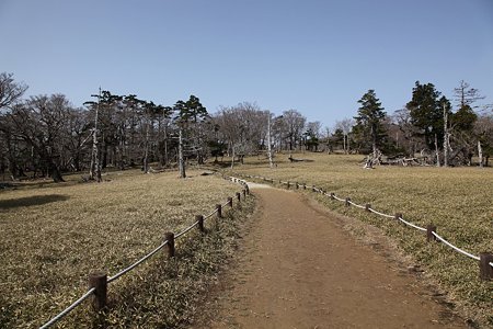 c-110504-085211 牛石ヶ原