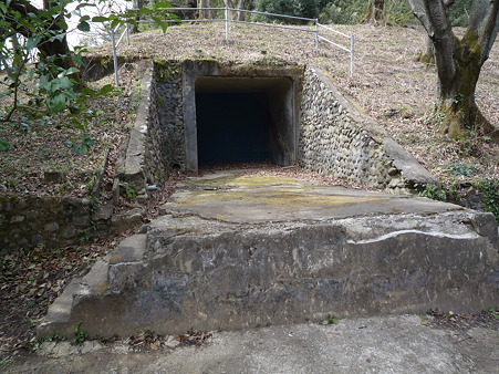 P1020236